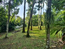 Raffles Park (D11), Detached #468796531